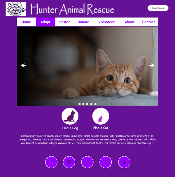 Hunter Animal Rescue Adopt Webpage