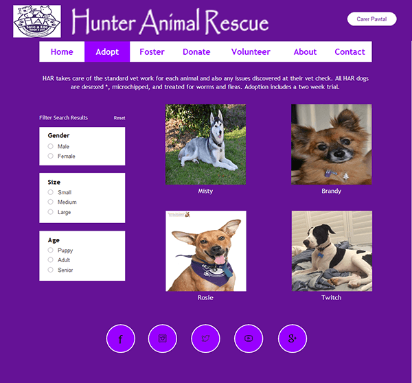 Hunter Animal Rescue Adopt Dogs Webpage