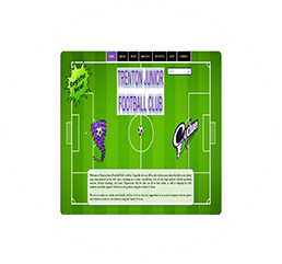 Trenton Soccer Club logo