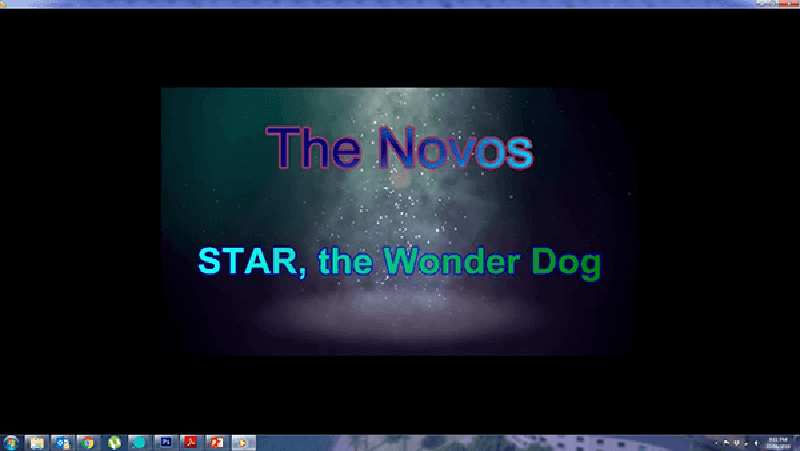 Star, the Wonder Dog Home Page